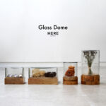 Glass Dome / ガラス ドーム HERE by DETAIL