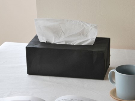 激戦区。SIWA　紙和（シワ）ティッシュボックスケース