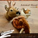 壁から動物のキュート顔。アニマルヘッド ANIMAL HEAD