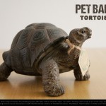 PET BANK Tortoise / ペット バンク トータス  magnet