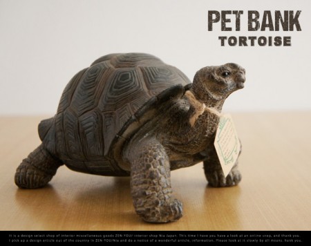PET BANK Tortoise / ペット バンク トータス  magnet