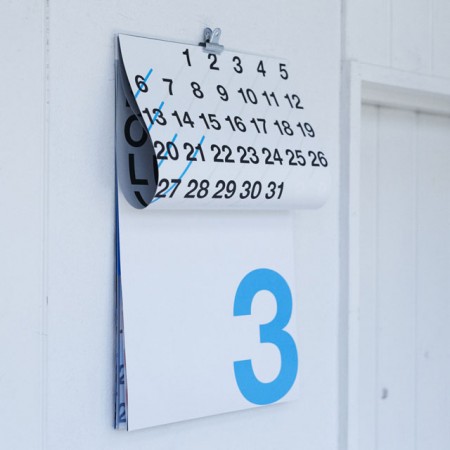 カレンダー2016 / ROLL12 （D-BROS） 