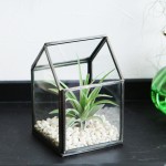 部屋に鉄と緑を。house terrarium/ハウステラリウム　ミニ