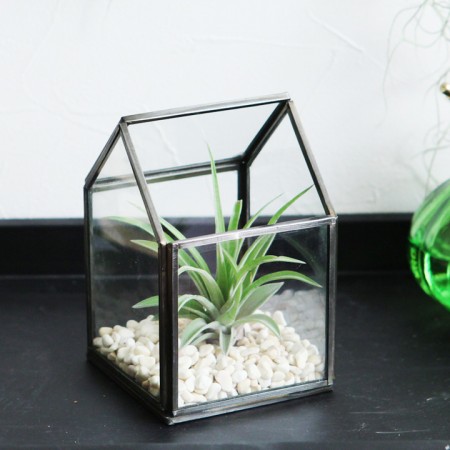 house　terrarium　ハウステラリウム　ミニ