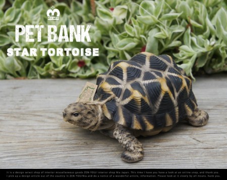 亀の貯金箱。PET BANK Star Tortoise