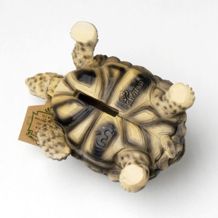 亀の貯金箱。PET BANK Star Tortoise