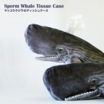 マッコウクジラティッシュケース。SPERM WHALE TISSUE CASE