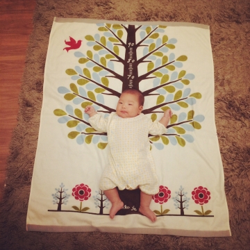 Kukka ja puu/身長計付き タオルケット