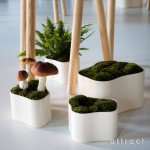 曲線美。Artek  Riihitie Plant Pot