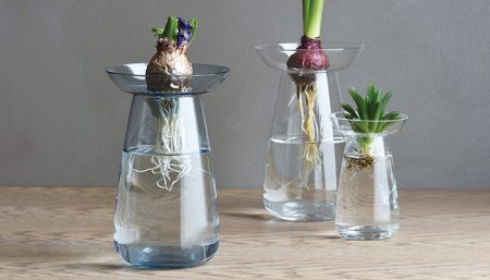 多肉植物用花瓶。KINTO フラワーベース