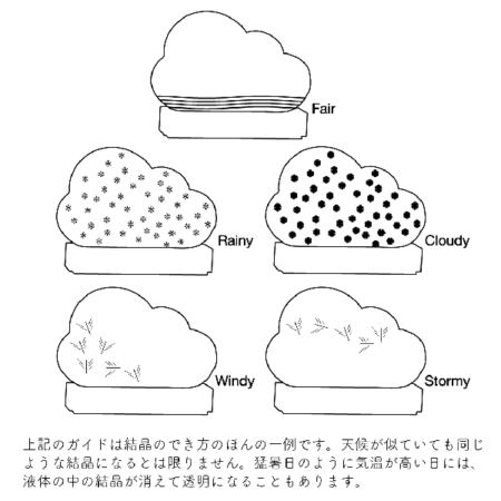 BITTEN BV Storm Weather Station 結晶グラス