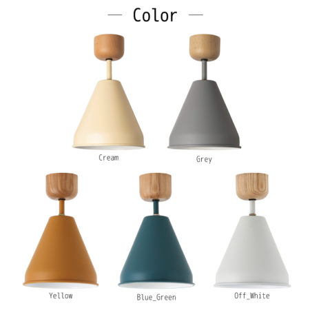 COLOR & WOOD 1BULB CEILING LIGHT 