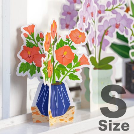 紙の花。SELTZER Hibiscus Pinstripe Paper Plant 