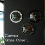 Convex Glass Case コンベックスガラスケース