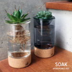 水耕栽培ポット。SOAK HYDROPONICS POT