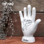 The Hand / ザ ハンド Goody Grams