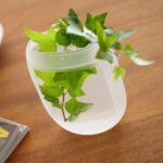 ガラスのフラワーベース。WINDOW VASE