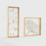 ヒノキ材の展示フレーム fufua / METAPHYS