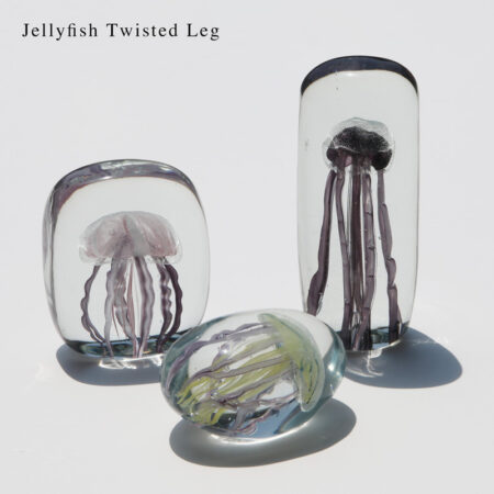 くらげ。Jellyfish Twisted Leg  HERE
