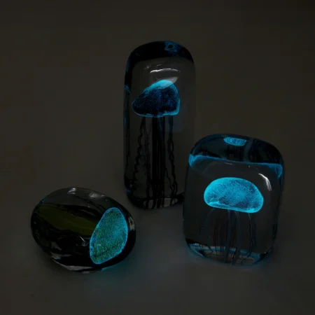 くらげ。Jellyfish Twisted Leg  HERE