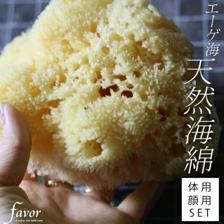 エーゲ海産 ボディースポンジ