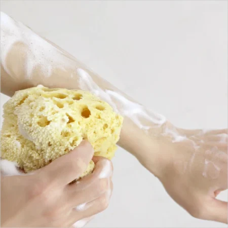 エーゲ海産 ボディースポンジ