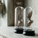 鹿骨オブジェ。Deer Skull Object -OJET-  yard