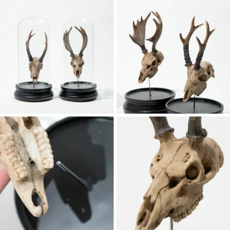 鹿骨オブジェ。Deer Skull Object -OJET-  yard