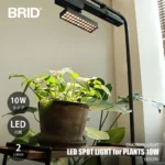 植物用照明。BRID ブリッド LED SPOT LIGHT for PLANTS