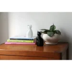 ガラスの猫。DETAIL ( ディテール ) Glass Objet Cat