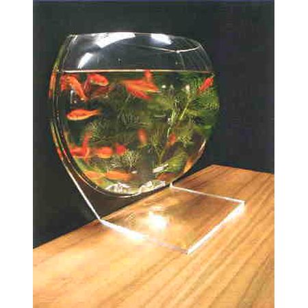 fish bowl アクリルな金魚の楽園