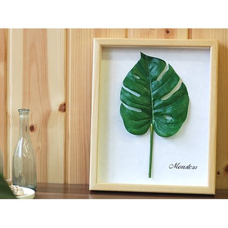 モンステラ アートフレーム