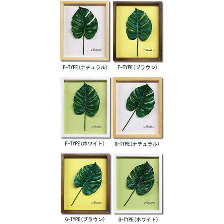 モンステラ アートフレーム