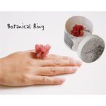 プリフラの指輪。Botanical Ring ボタニカルリング Puebco プエブコ