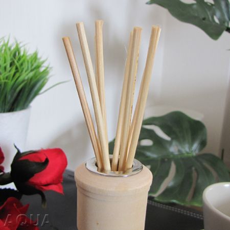 スティックディフューザー Parks