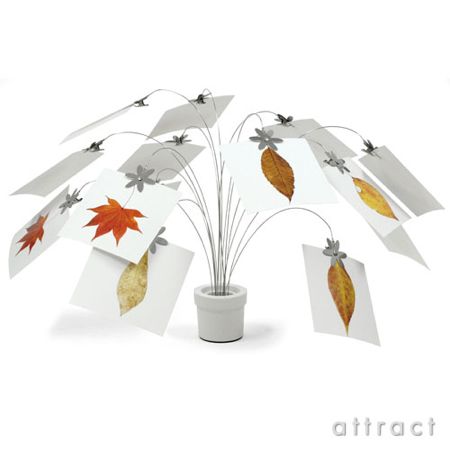 Umbra/アンブラ LOVE THE EARTH 06 PETAL CLIP