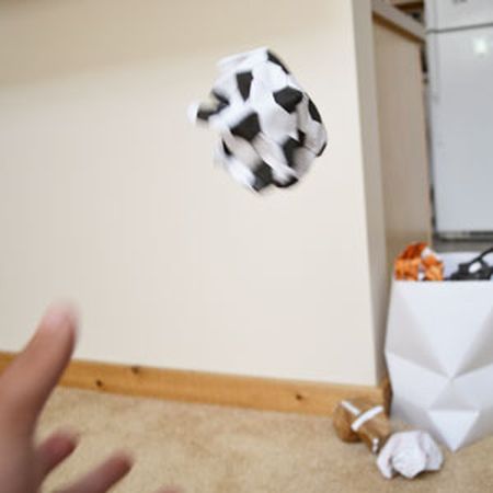 フレッド クシャクシャボールノート