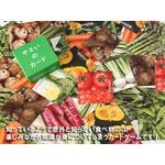 野菜を知る食育ゲーム。yasainocard やさいのカード