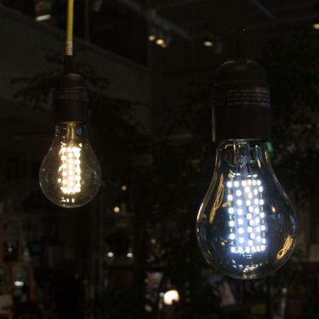 LED電球 （Twincle Bubble A21）