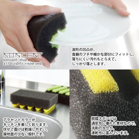 ボーダースポンジ 