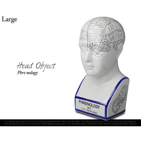 脳図オブジェ。Phrenology Head Object / KRAFTRIPS＆Co / DEMODE