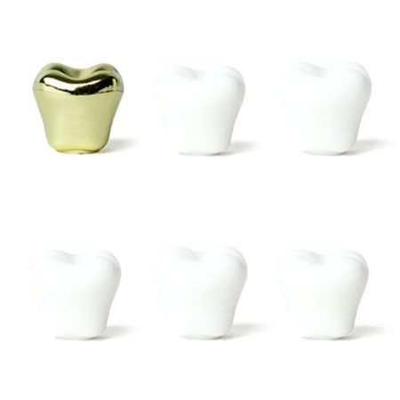 金歯が一本。キッカーランド 歯のマグネット TOOTH MAGNETS