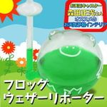 フロッグウェザーリポーター(お天気かえる)