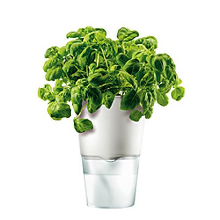 エヴァ・ソロ(eva solo)フラワーポット