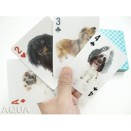 犬のトランプ 3-D DOG CARDS