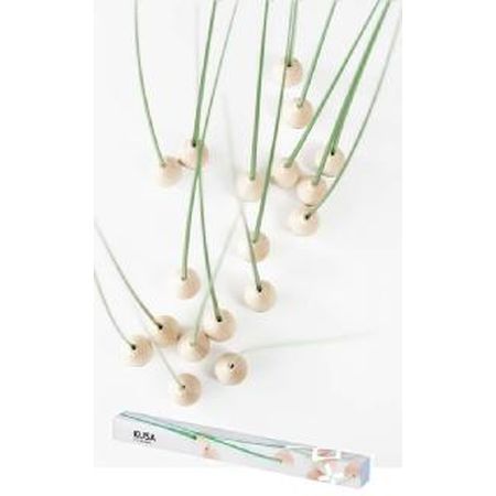 アッシュコンセプト　KUSA　クサ