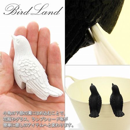 【L.F.S.×Floyd】 BIRD LAND (バードランド) 2Pset