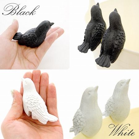 【L.F.S.×Floyd】 BIRD LAND (バードランド) 2Pset