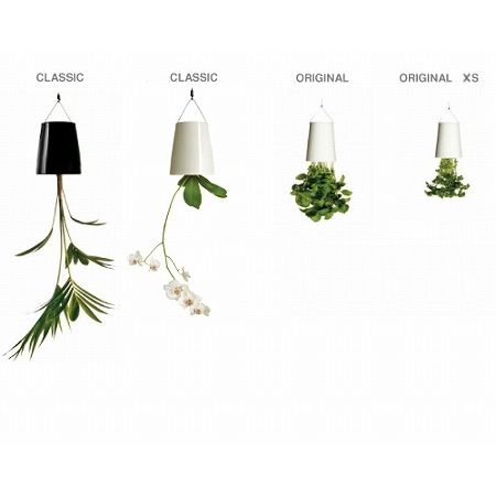 SKYPLANTER / スカイプランター